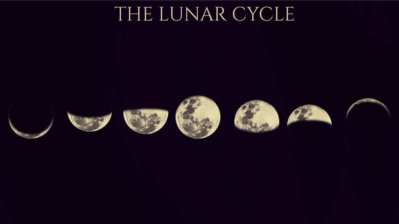 The Lunar Cycle